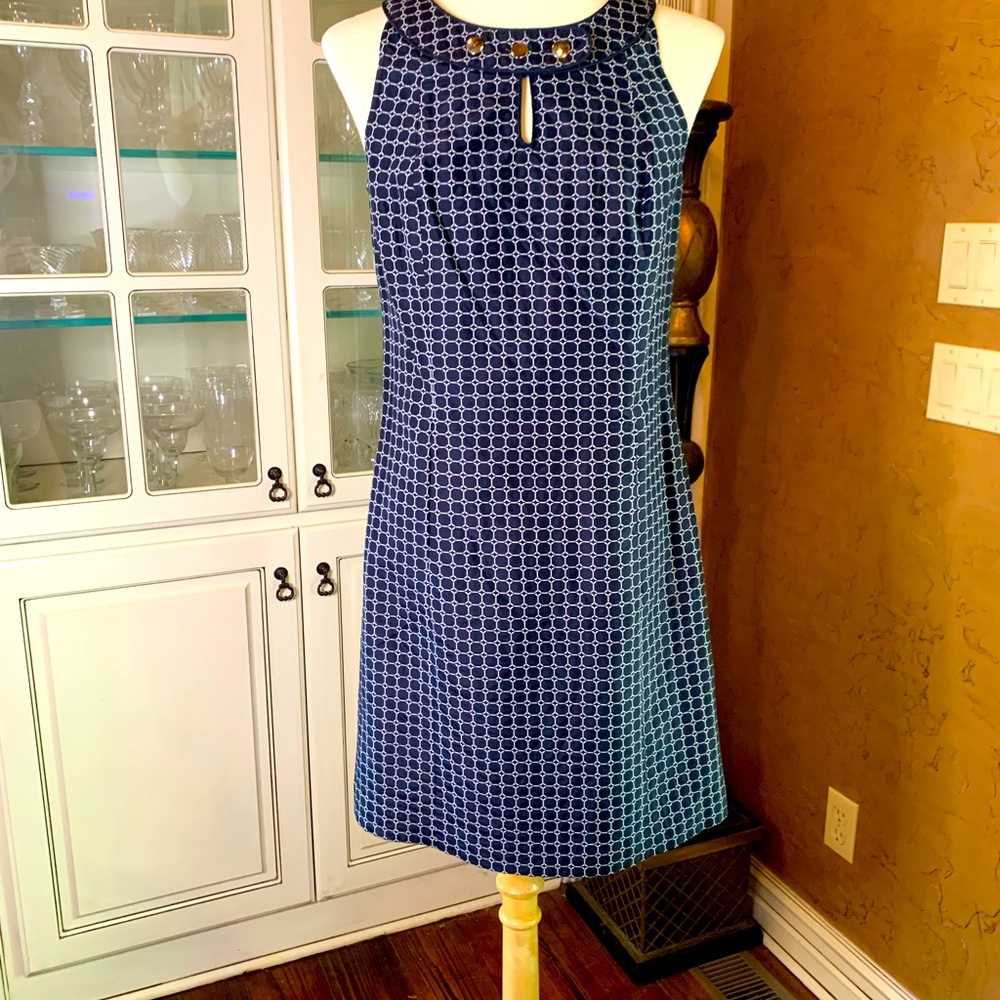 Ann Taylor Dress